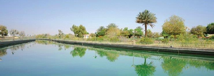 One To One Hotel & Resort Ain Al Faida El Ayn Dış mekan fotoğraf
